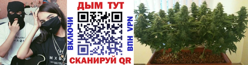 Где продают наркотики Ессентукская АМФ  Меф  ГАШИШ  Канабис  Cocaine  СОЛЬ 