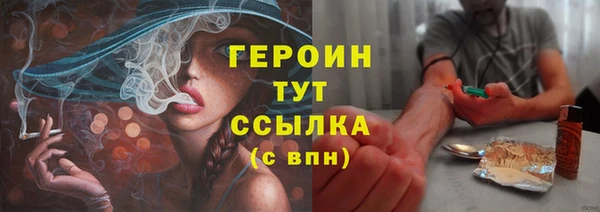 дживик Белокуриха