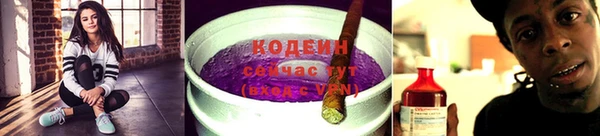 дживик Белокуриха
