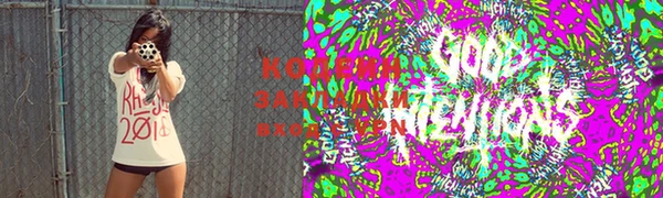 дживик Белокуриха