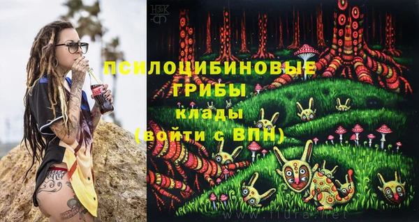гашик Белоозёрский