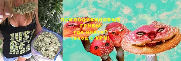 дживик Белокуриха