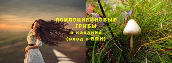 дживик Белокуриха