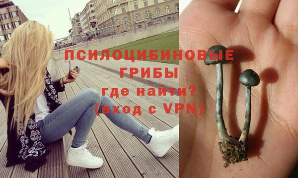 дживик Белокуриха