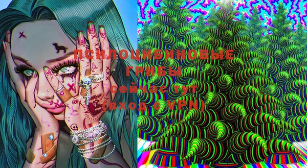 гашик Белоозёрский